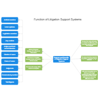 Function of Litigation Support Systems