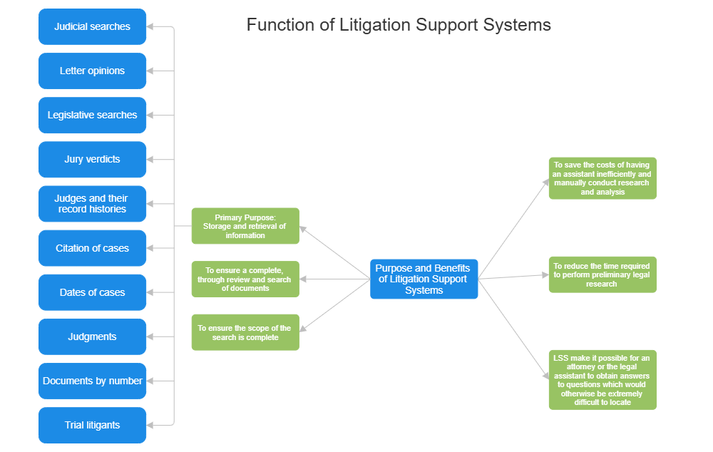 Example Image: Function of Litigation Support Systems