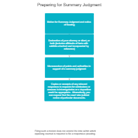Summary Judgment
