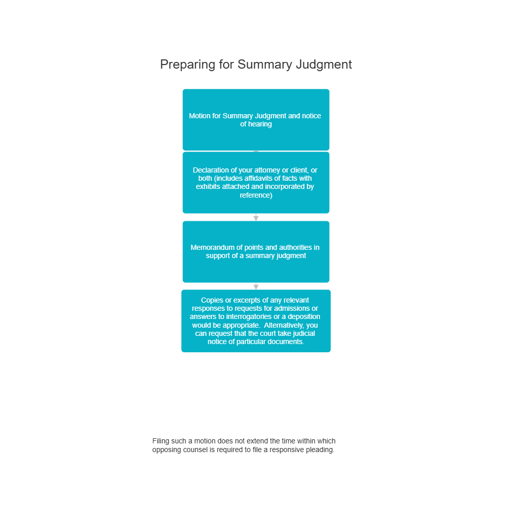 Example Image: Summary Judgment