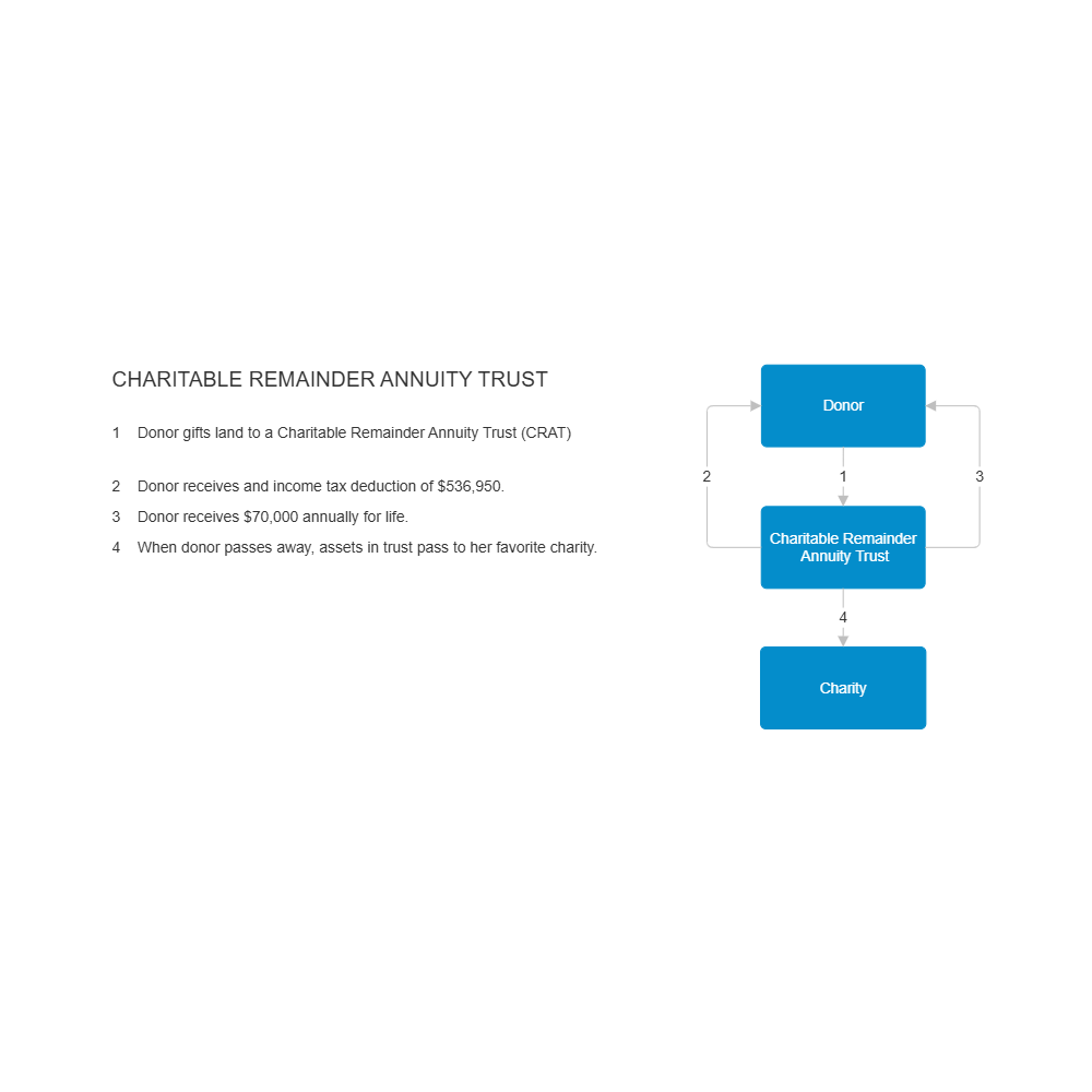 Example Image: Example - Charitable Remainder Annuity Trust