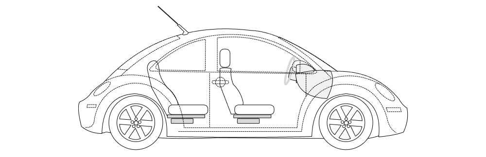 Example Image: Beetle - 1 (Side View)