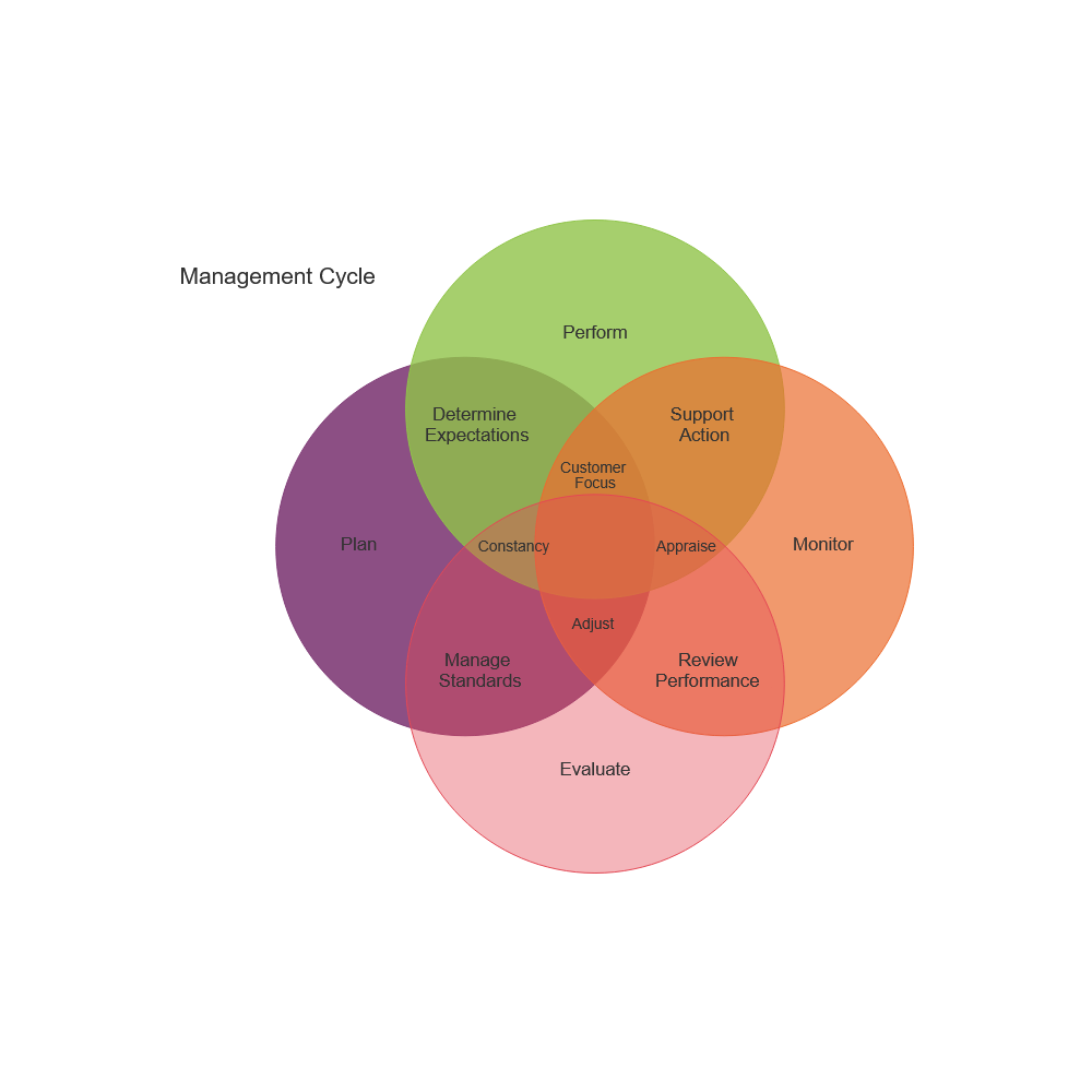 Example Image: Management Cycle