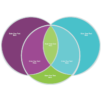 Venn Diagram 06