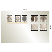 Photo Gallery Display - 3